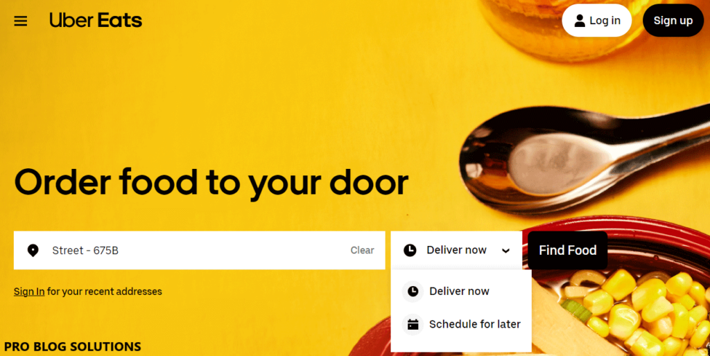 Launch Website - Start a Successful Food Delivery Business